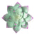3D Metal Art Succulent Flower Wall Decor - Commomy